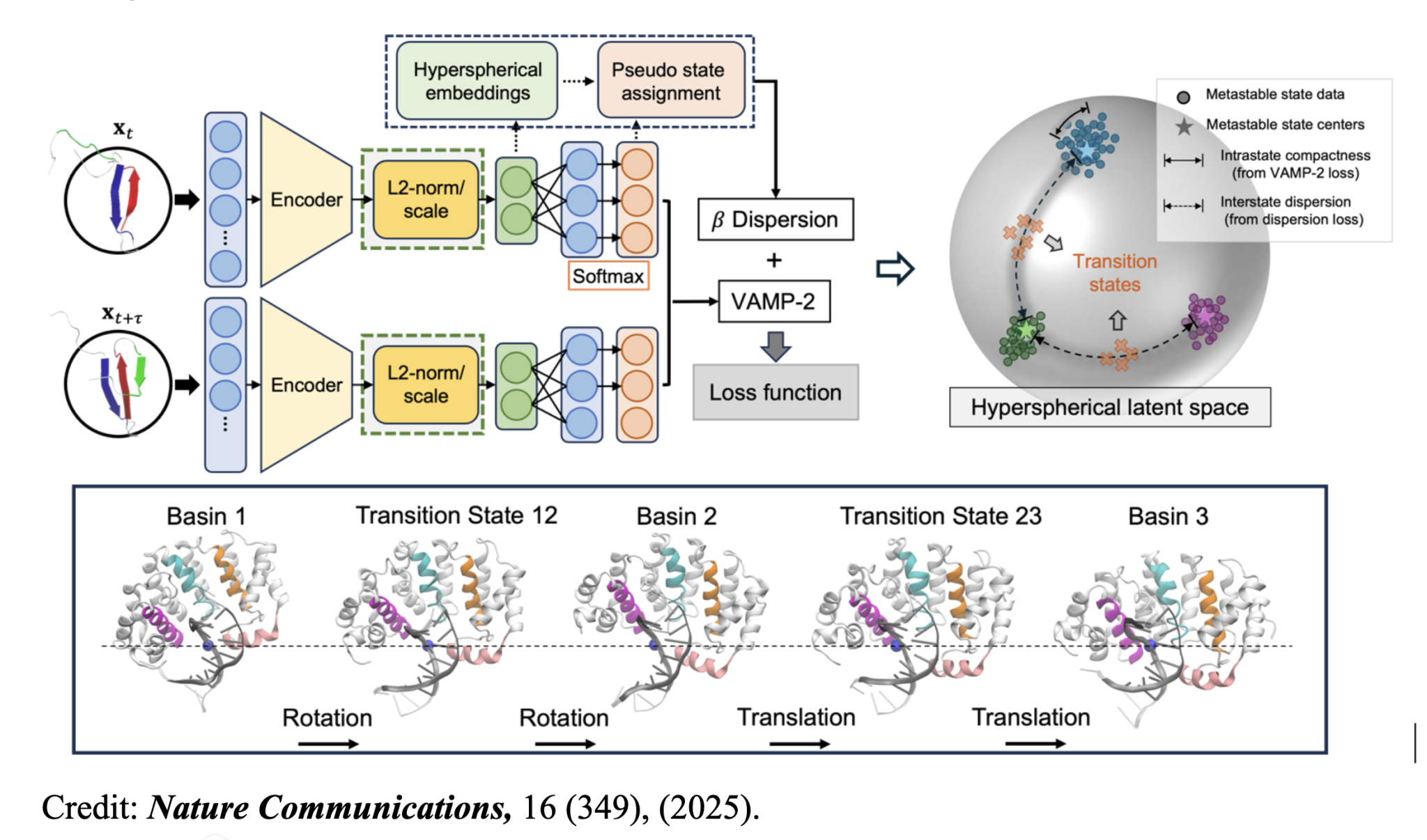New deep learning method identifies transition states in protein ...